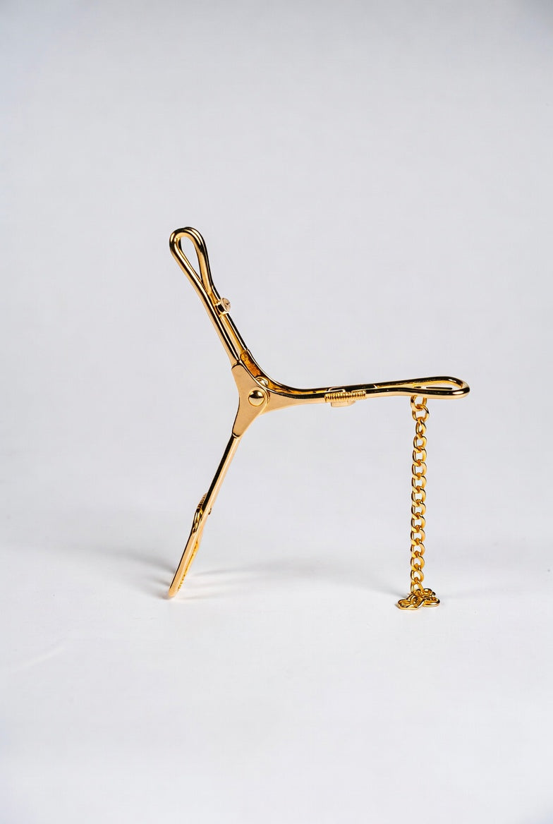 Decorative gold nipple clamps with non-piercing jewelry design and dangling chains