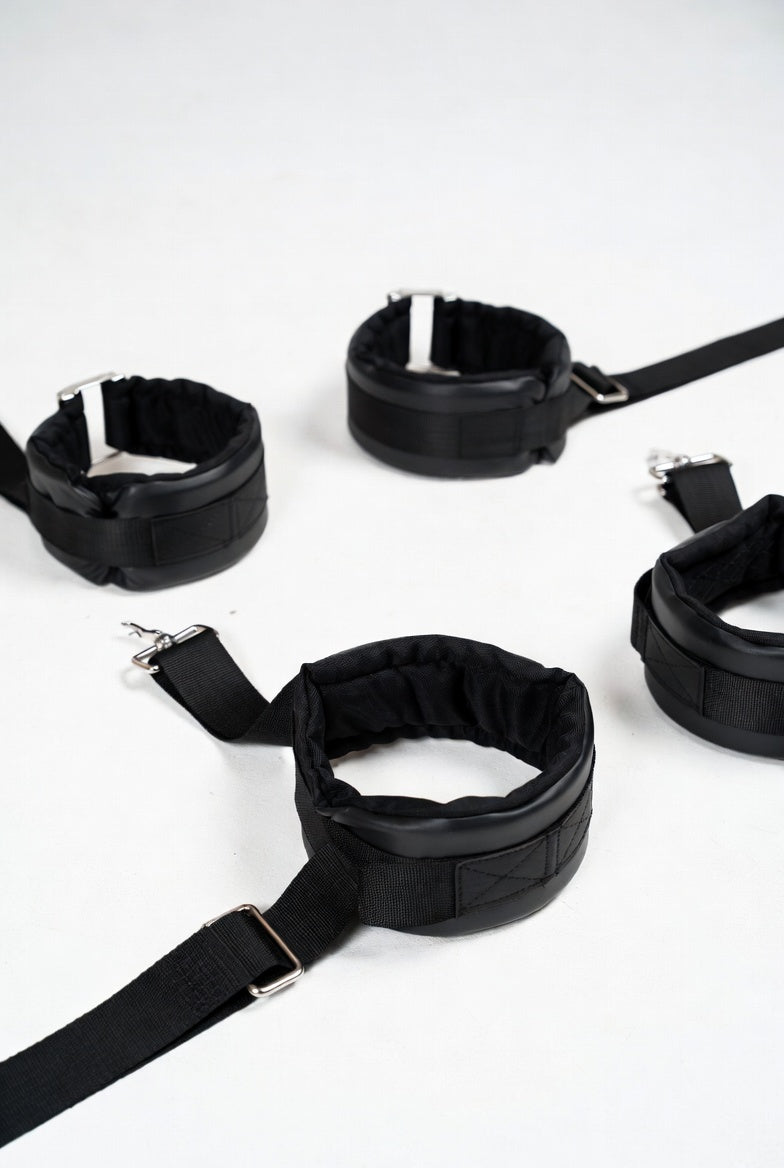 Under-Bed Restraint System - back view